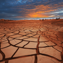 Farming drought management- RegenZ