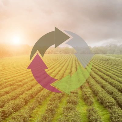 Regenerative farming- RegenZ