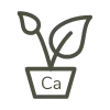 calcium plant icon - RegenZ