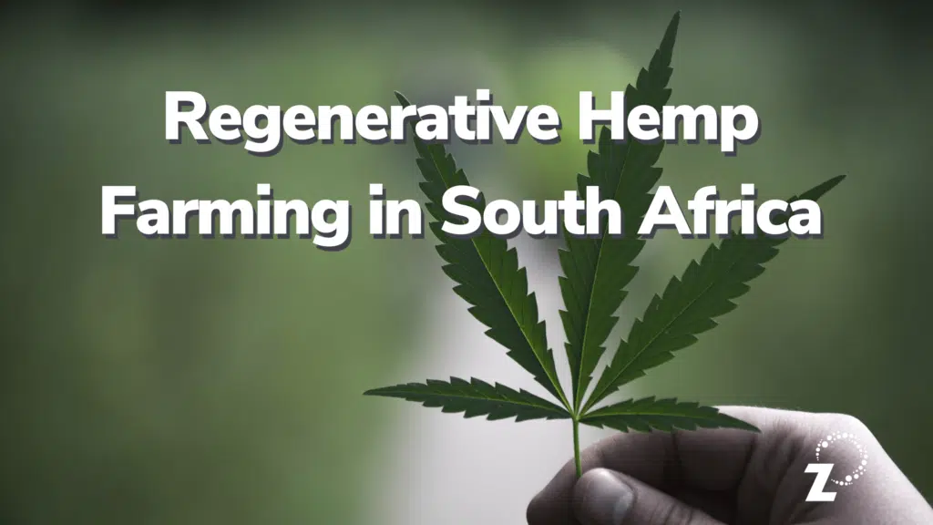 Regenerative Hemp Farming in South Africa