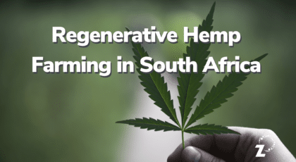 Regenerative Hemp Farming in South Africa