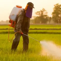 pesticide sprayer