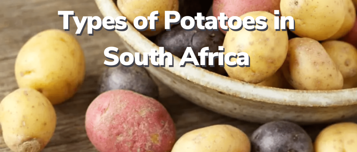 Types of Potatoes in South Africa