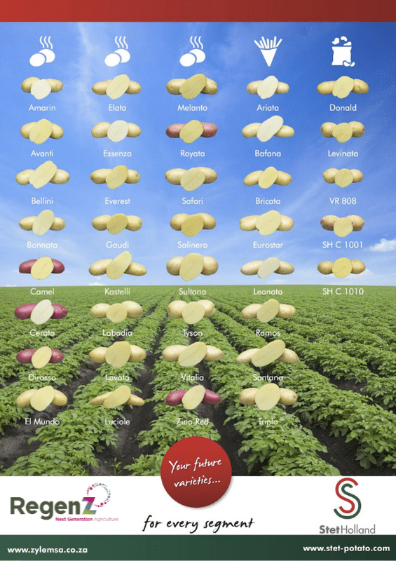 Types of potatoes in south africa - RegenZ