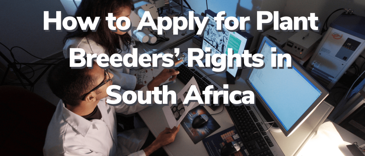 Plant Breeders Rights in South Africa
