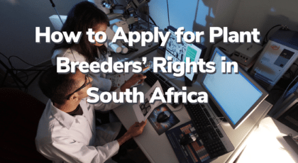 Plant Breeders Rights in South Africa