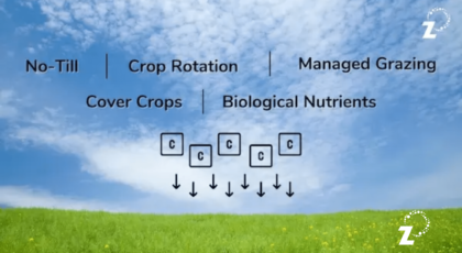 Carbon Drawdown & Regenerative Agriculture