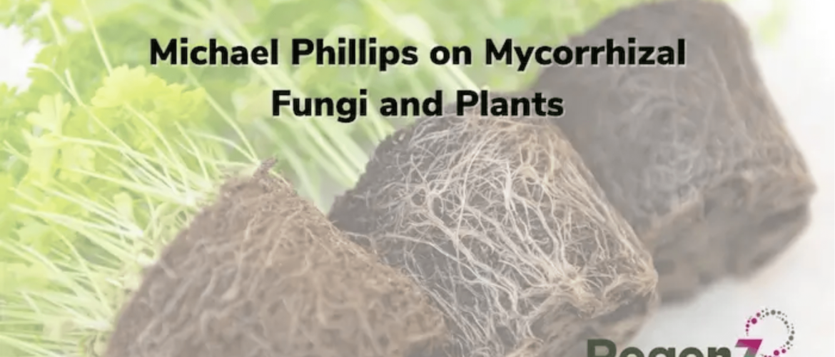 Mycorrhizal fungi and plants - RegenZ