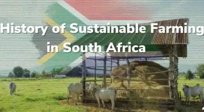 history of sustainable farming in south africa