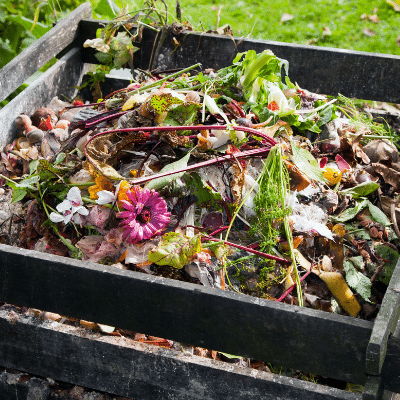 composting inoculant