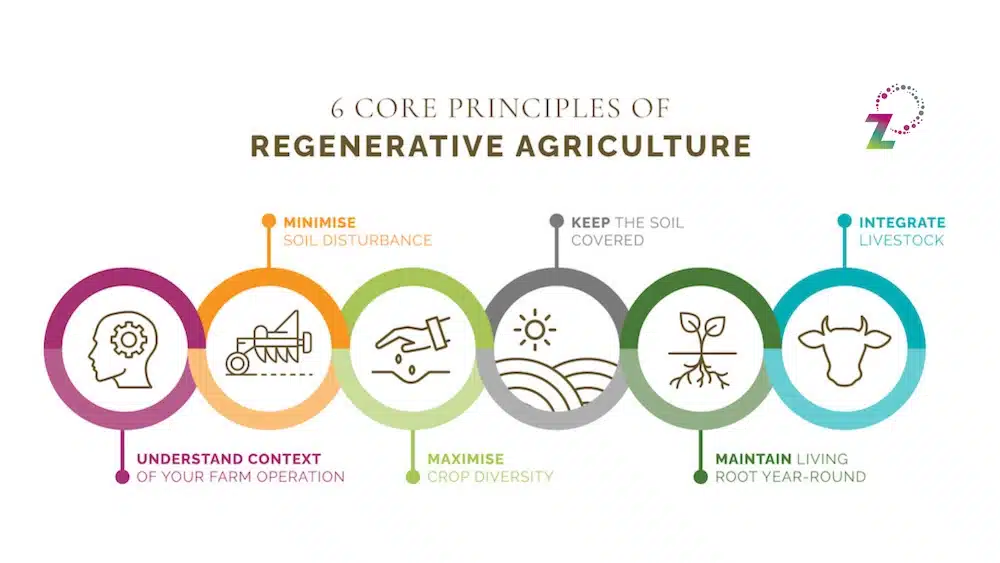 Principles of Regenerative Agriculture Infographic - RegenZ