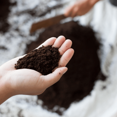 soil preparation using an inoculant - RegenZ