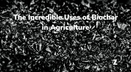 Uses of Biochar in Agriculture - RegenZ