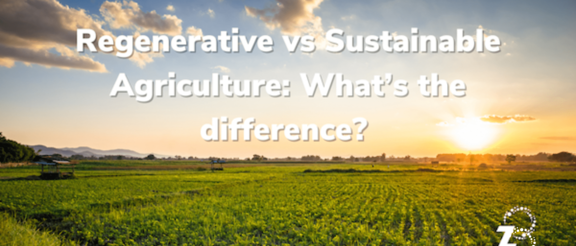 Regenerative Farming vs Sustainable Farming - What's the Difference?