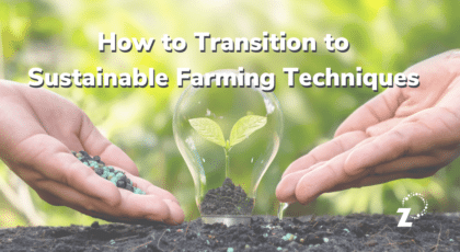 Blog header depicting transition sustainable farming techniques