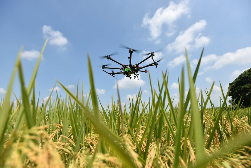 Drone in field - Agritech - RegenZ