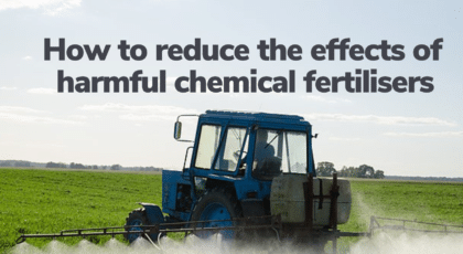 The harmful effects of chemical fertilizers