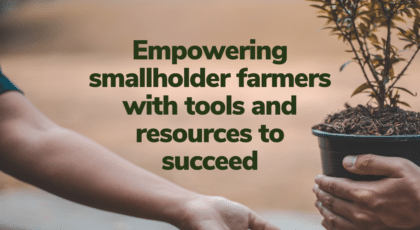 Empowering smallholder farmers with tools and resources to succeed - RegenZ