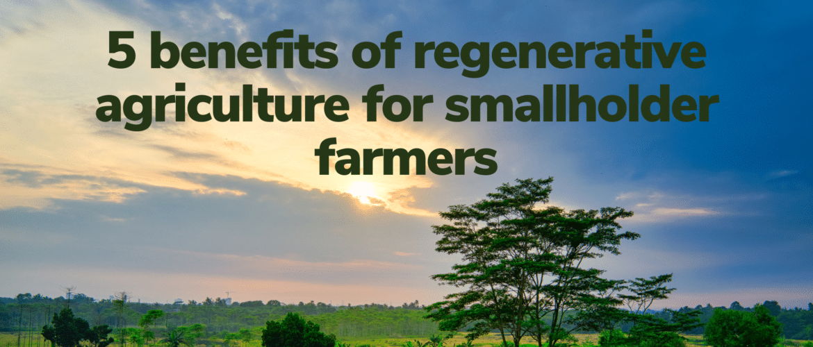 Benefits of regenerative agriculture for small-scale farmers