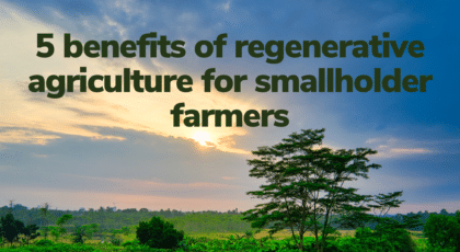 Benefits of regenerative agriculture for small-scale farmers