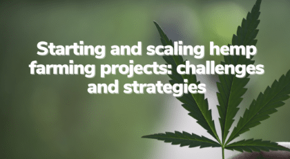 Hemp Farming Projects in South Africa - RegenZ