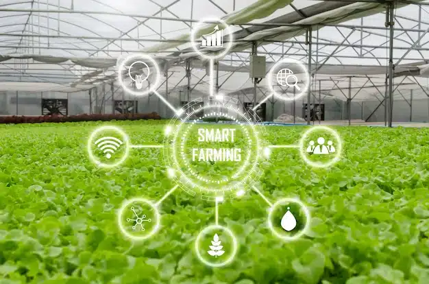 adoption of technology in agriculture