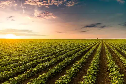 technology trends in agriculture