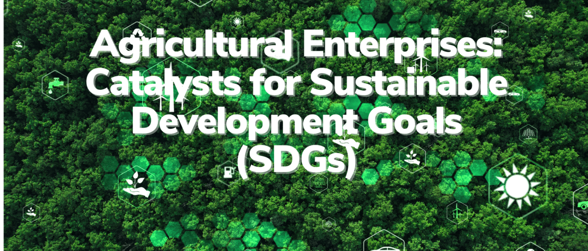 sustainable development goals for south africa agriculture