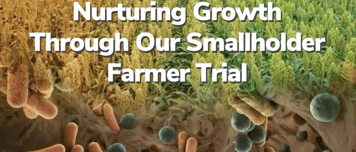 Nurturing Growth Through Our Smallholder Farmer Trial