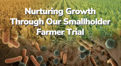 Nurturing Growth Through Our Smallholder Farmer Trial