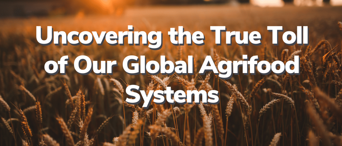 Global Agrifood Systems