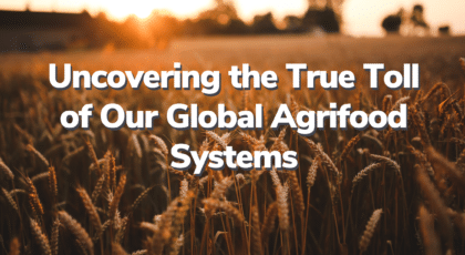 Global Agrifood Systems