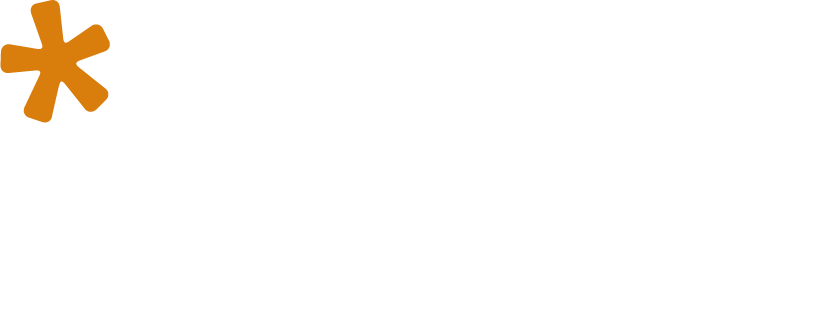 solynta logo