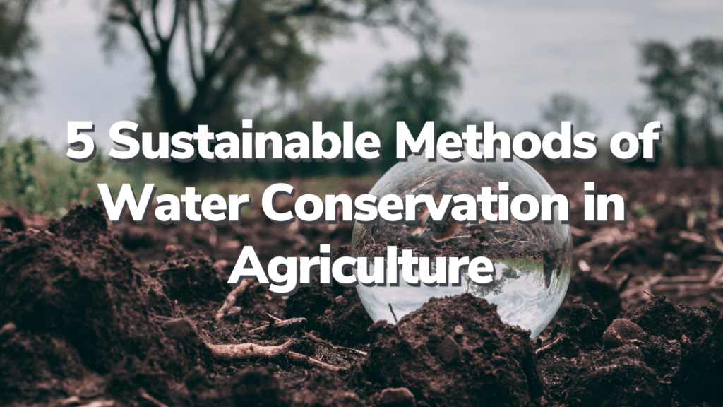 5 Methods Of Water Conservation In Agriculture RegenZ 5 Methods Of Water Conservation In Agriculture RegenZ