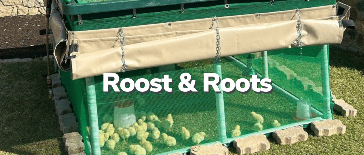 Roost & Roots